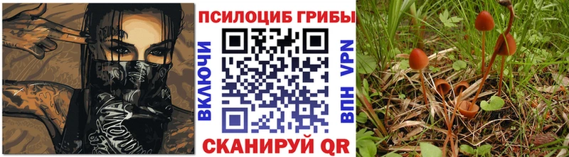 Купить  Очёр  Галлюциногенные грибы мухоморы 